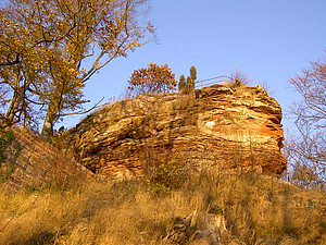 BURGRUINE GUTTENBERG