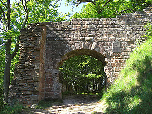 BURGRUINE GUTTENBERG